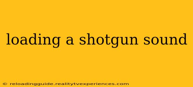 loading a shotgun sound