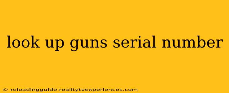 look up guns serial number