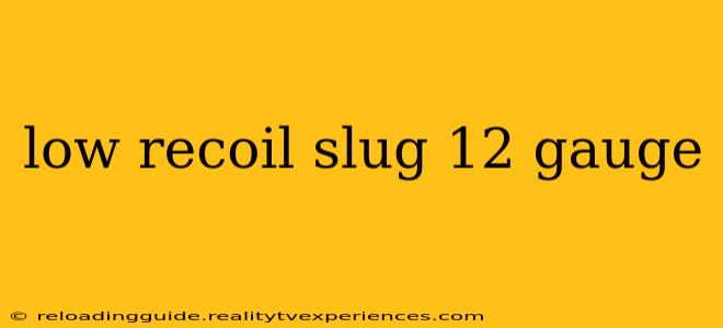 low recoil slug 12 gauge