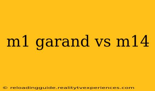 m1 garand vs m14