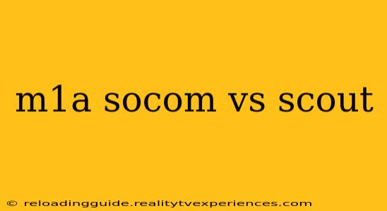 m1a socom vs scout