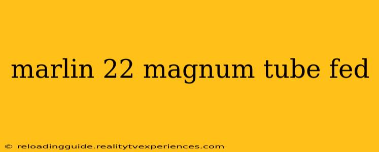 marlin 22 magnum tube fed