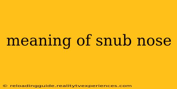 meaning of snub nose