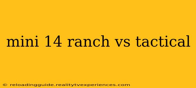 mini 14 ranch vs tactical