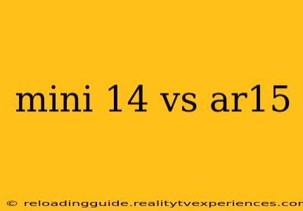 mini 14 vs ar15