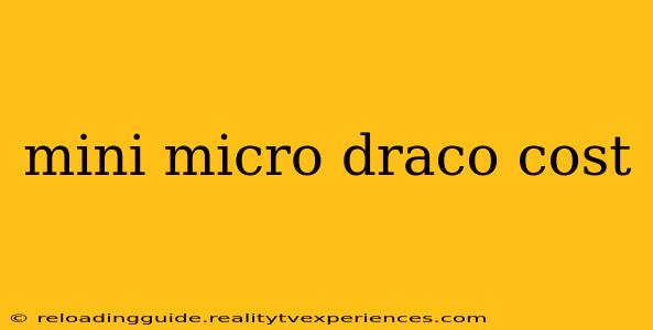 mini micro draco cost