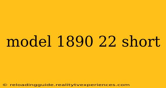 model 1890 22 short