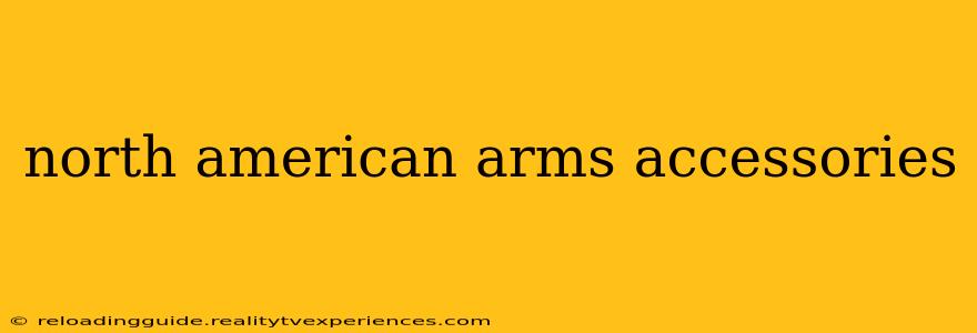 north american arms accessories