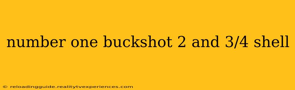 number one buckshot 2 and 3/4 shell