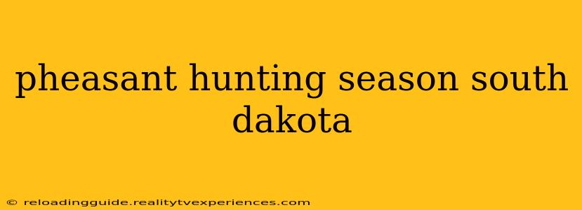 pheasant hunting season south dakota