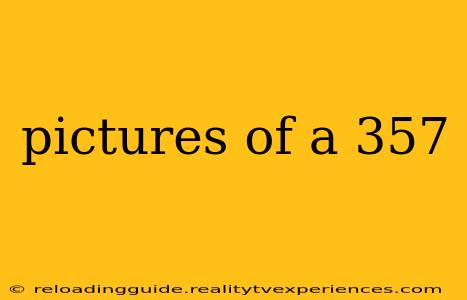 pictures of a 357