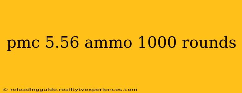 pmc 5.56 ammo 1000 rounds