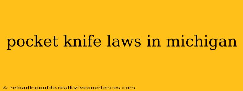 pocket knife laws in michigan