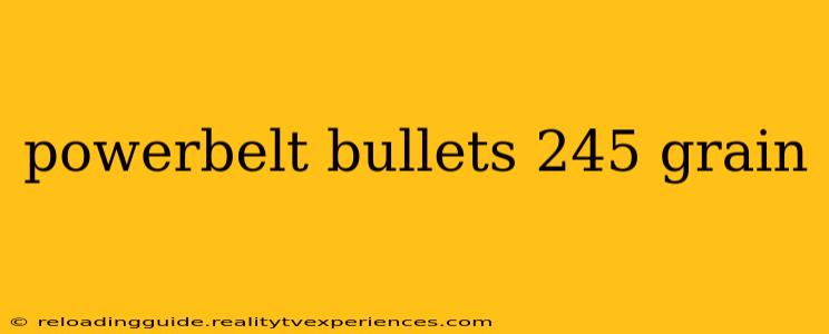 powerbelt bullets 245 grain