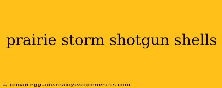 prairie storm shotgun shells