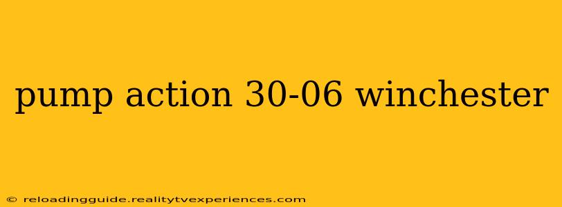 pump action 30-06 winchester