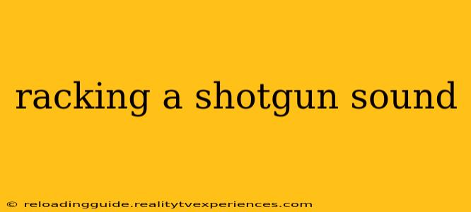 racking a shotgun sound