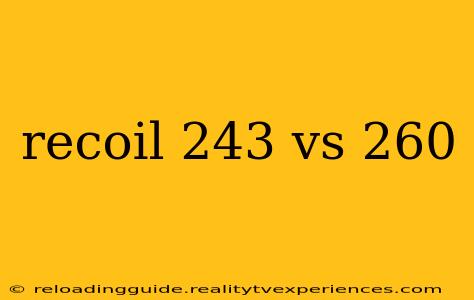 recoil 243 vs 260