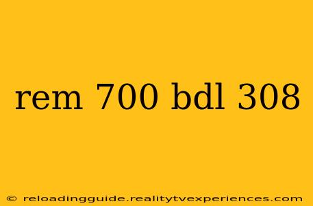 rem 700 bdl 308