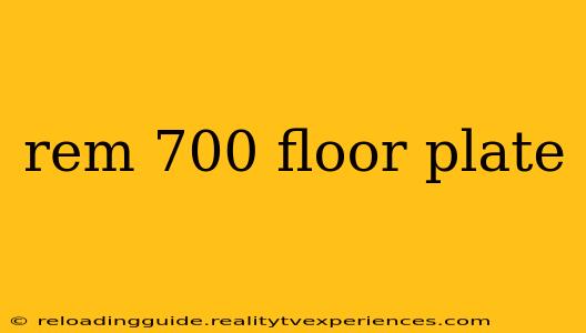 rem 700 floor plate