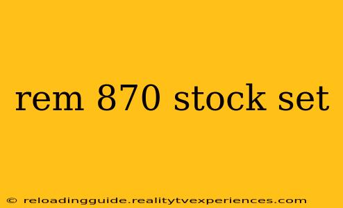 rem 870 stock set