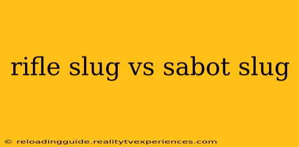 rifle slug vs sabot slug