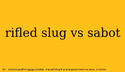 rifled slug vs sabot