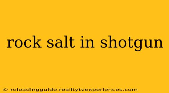 rock salt in shotgun