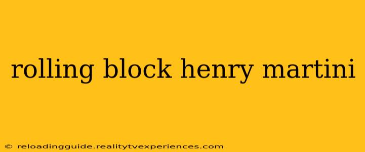 rolling block henry martini