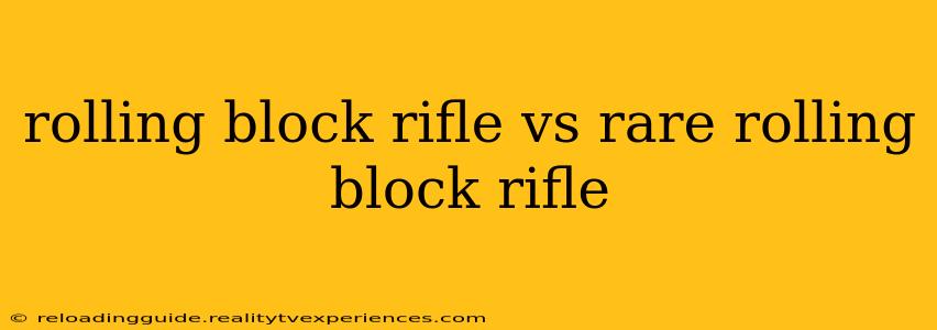 rolling block rifle vs rare rolling block rifle