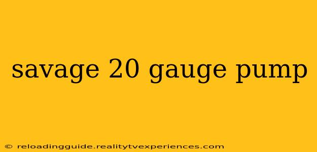 savage 20 gauge pump