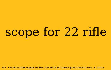 scope for 22 rifle