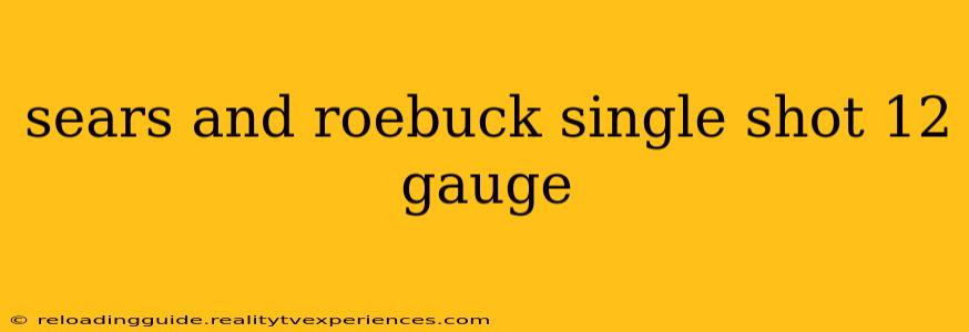 sears and roebuck single shot 12 gauge