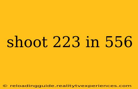 shoot 223 in 556