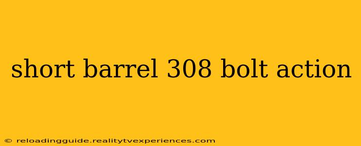 short barrel 308 bolt action