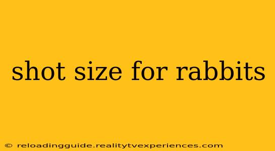 shot size for rabbits