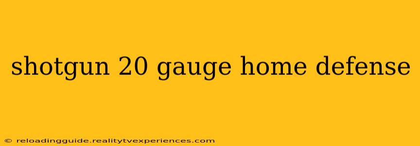 shotgun 20 gauge home defense