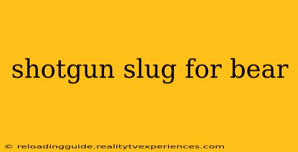 shotgun slug for bear