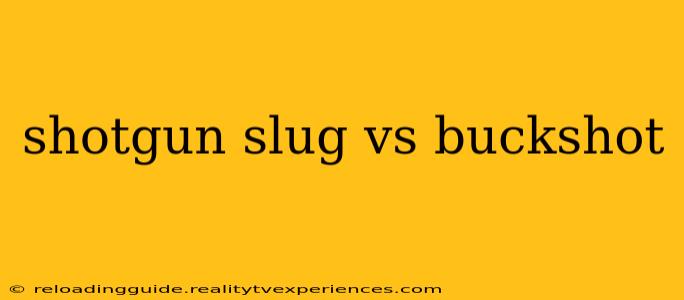 shotgun slug vs buckshot