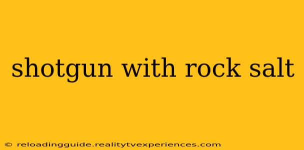 shotgun with rock salt