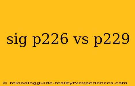 sig p226 vs p229