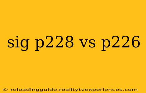 sig p228 vs p226