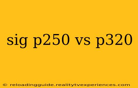 sig p250 vs p320