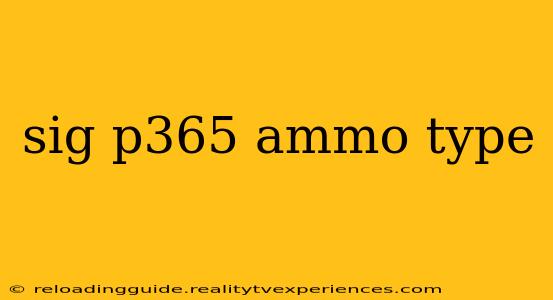 sig p365 ammo type