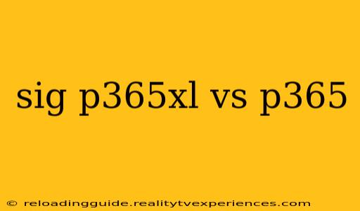 sig p365xl vs p365