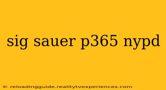 sig sauer p365 nypd