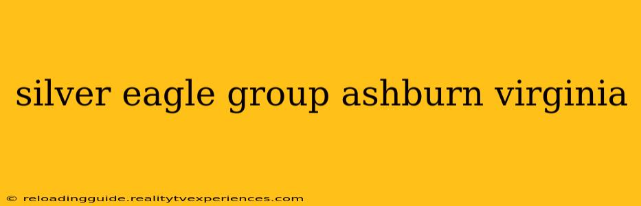 silver eagle group ashburn virginia