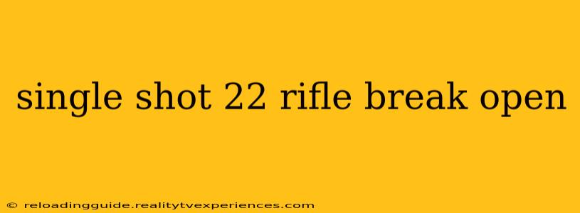 single shot 22 rifle break open