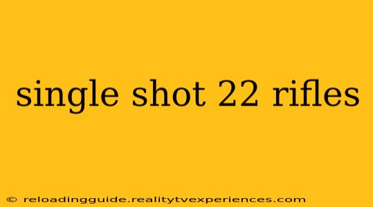 single shot 22 rifles