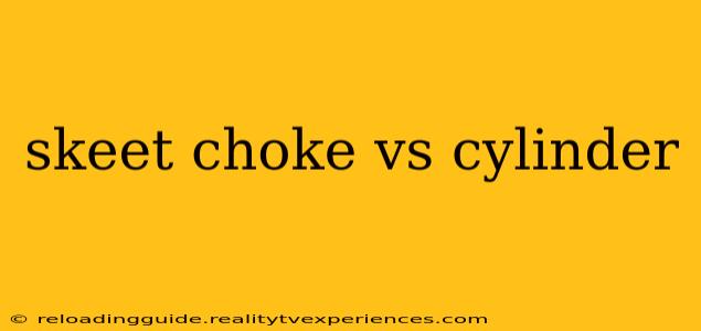 skeet choke vs cylinder